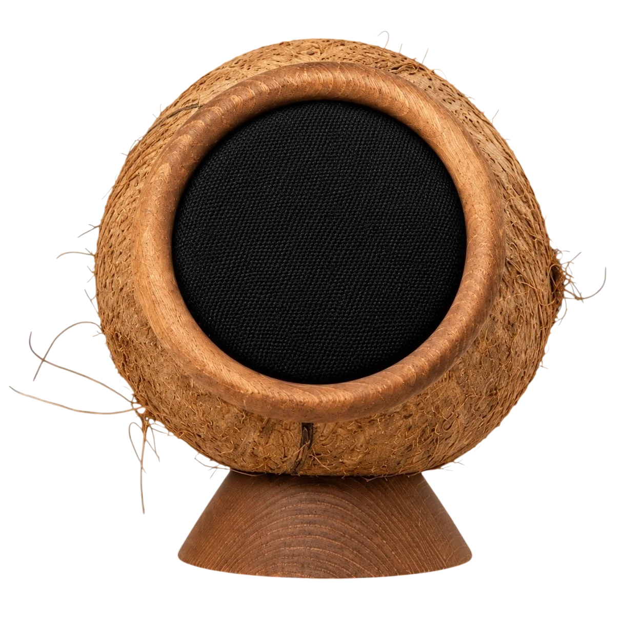 Front view of Coconut
