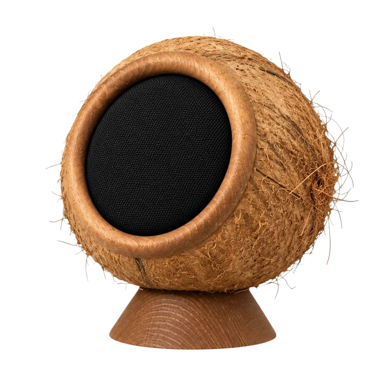 Coconut in three-quarter view: real coconut shell, wood ring, black grille and wooden foot