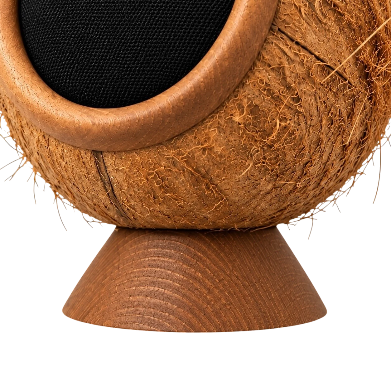 Close detail of the shell resting on its turned wooden foot
